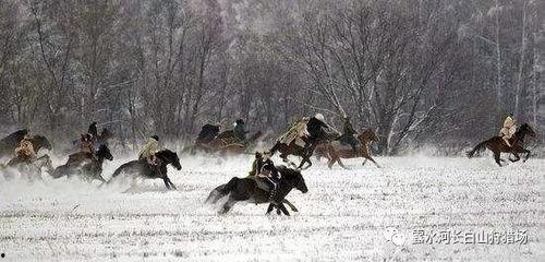 重生八零从狩猎林海雪原开始